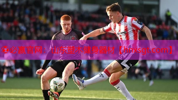 ⚽必赢官网:山东塑木健身器材