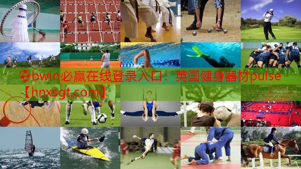⚽bwin必赢在线登录入口:英国健身器材pulse