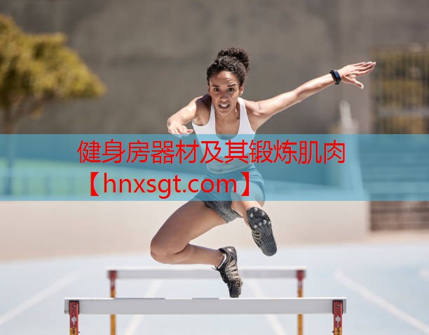 健身房器材及其锻炼肌肉