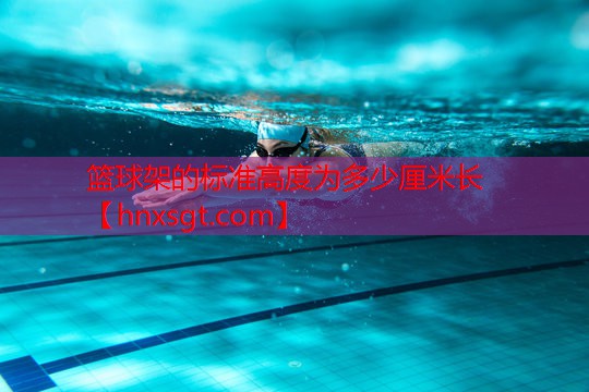 篮球架的标准高度为多少厘米长