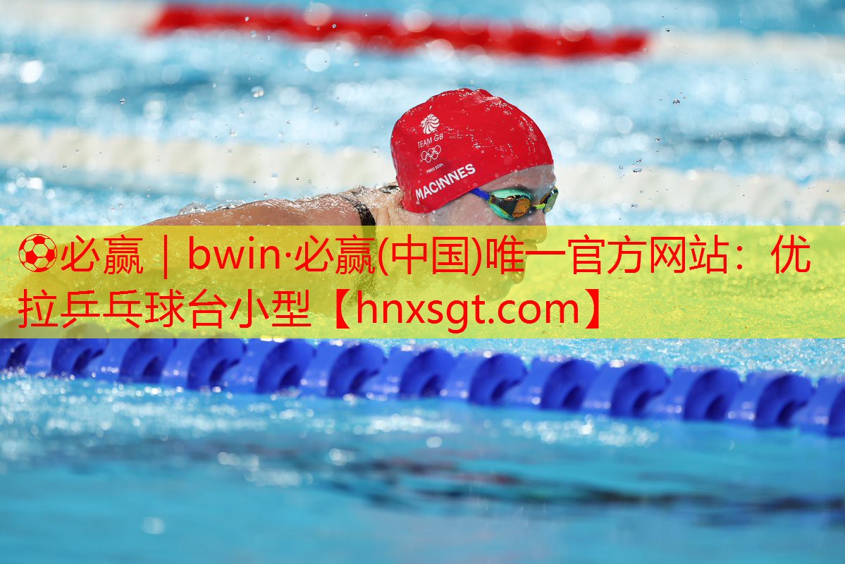 优拉乒乓球台小型