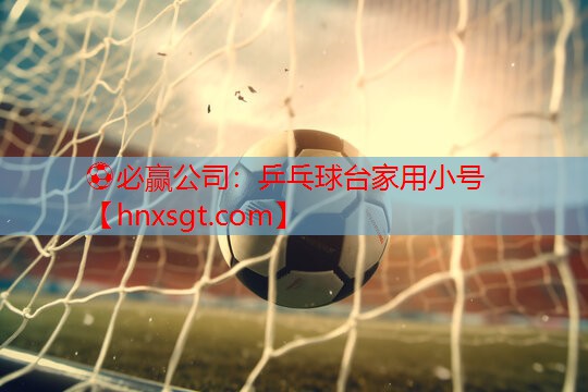 乒乓球台家用小号
