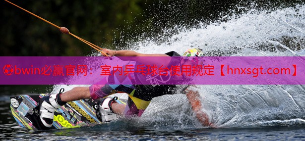 室内乒乓球台使用规定 室内乒乓球台使用规定