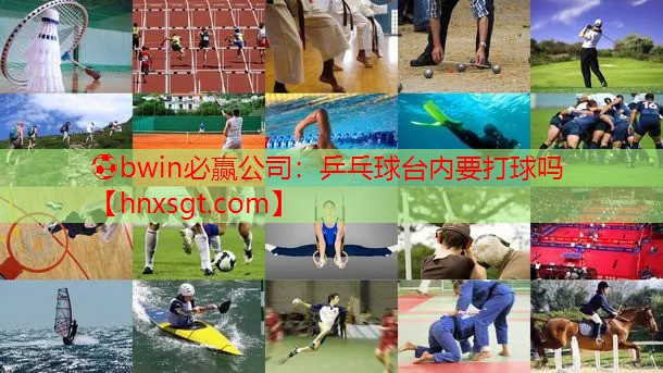 乒乓球台内要打球吗