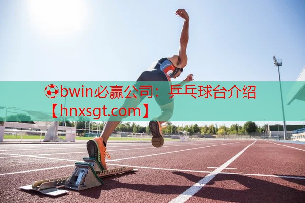 乒乓球台介绍