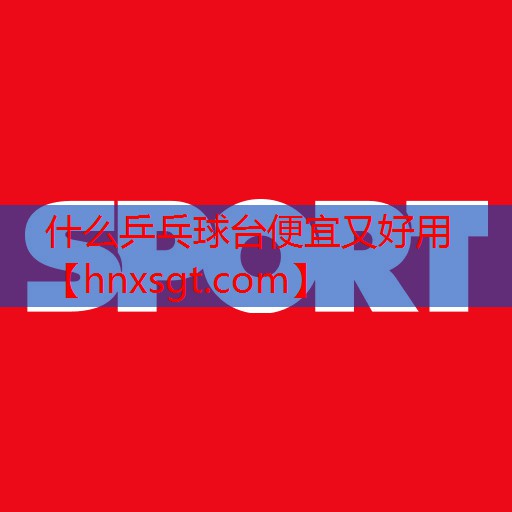 什么乒乓球台便宜又好用
