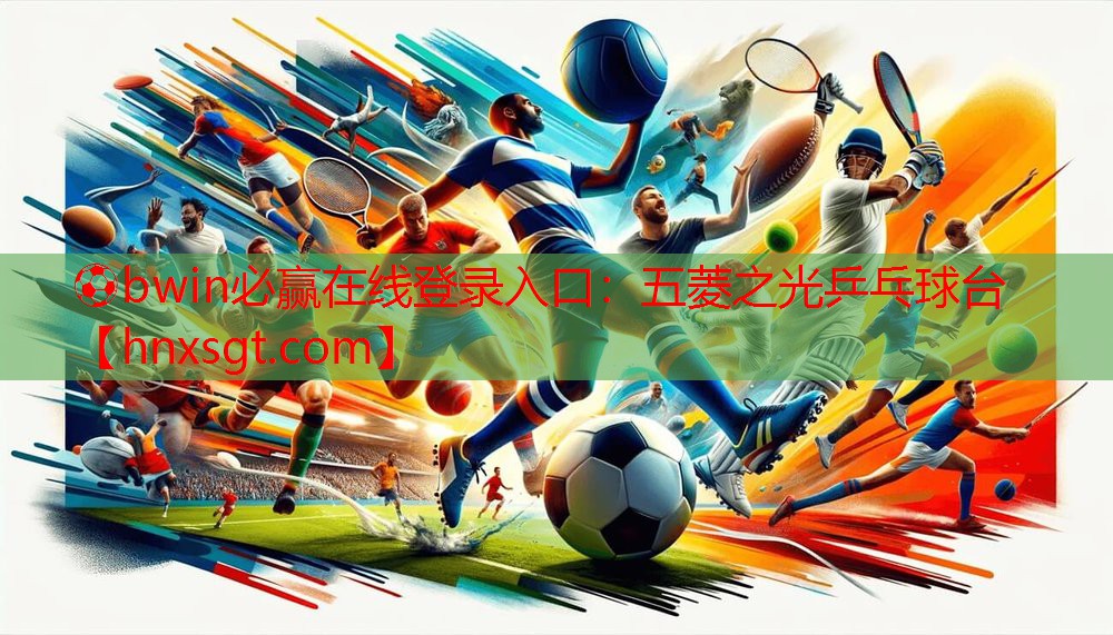五菱之光乒乓球台