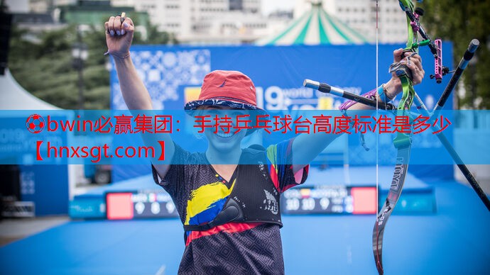 手持乒乓球台高度标准是多少