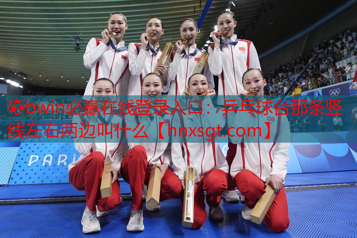 乒乓球台那条竖线左右两边叫什么
