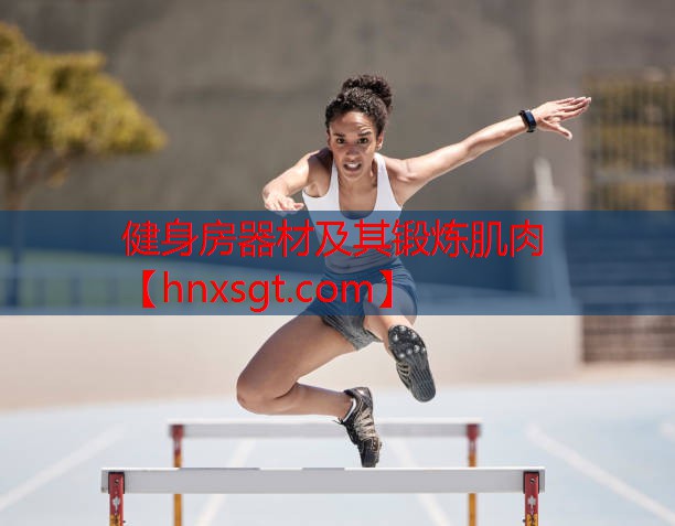 健身房器材及其锻炼肌肉