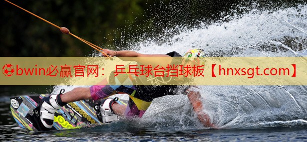 乒乓球台挡球板