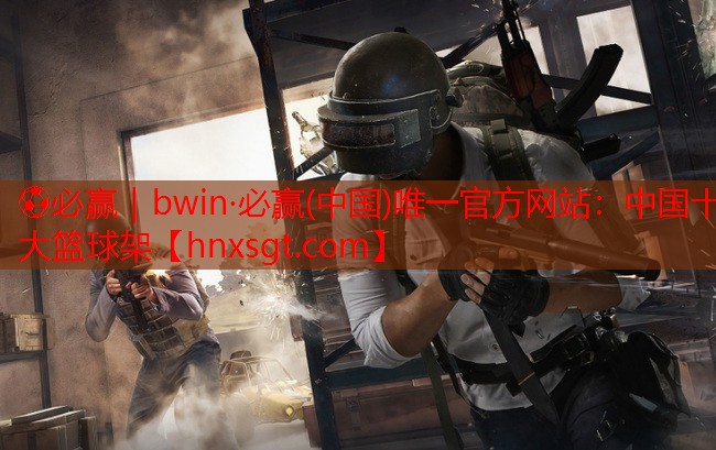 中国十大篮球架