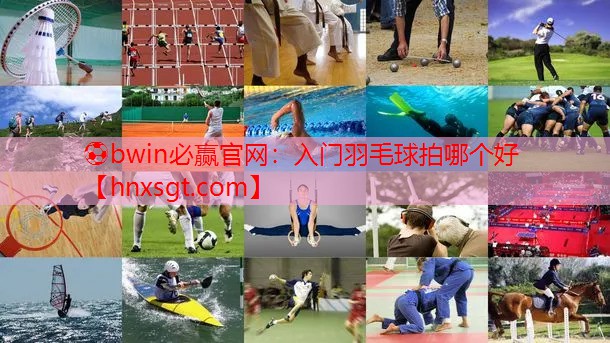 入门羽毛球拍哪个好