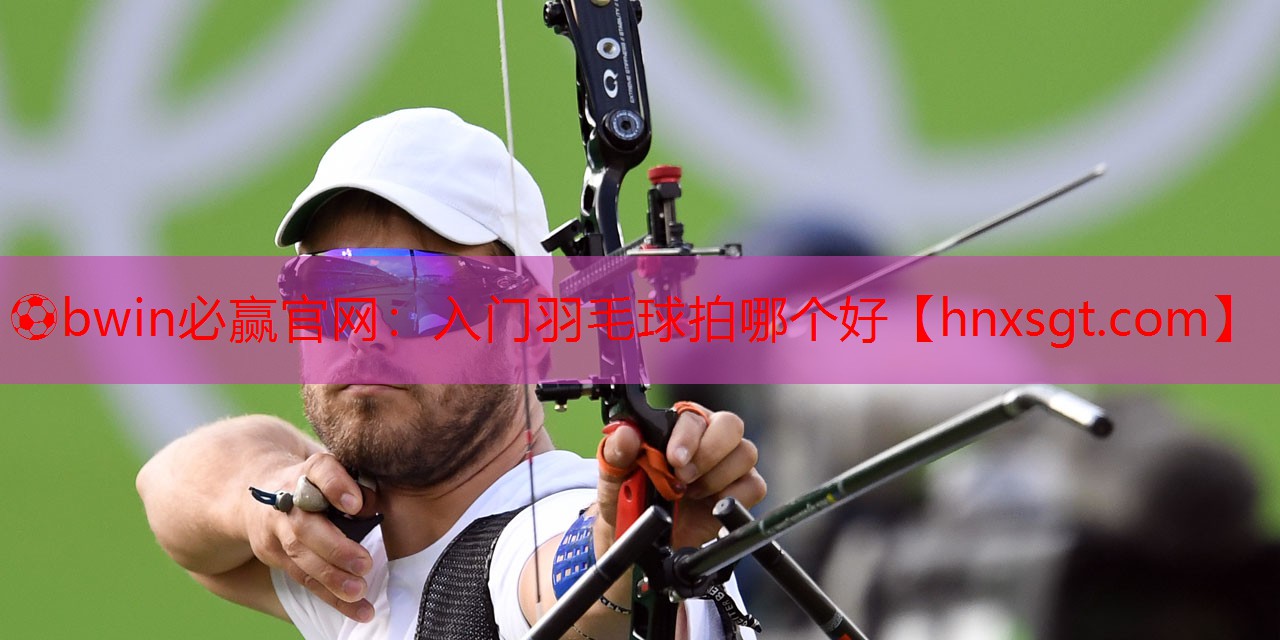 入门羽毛球拍哪个好