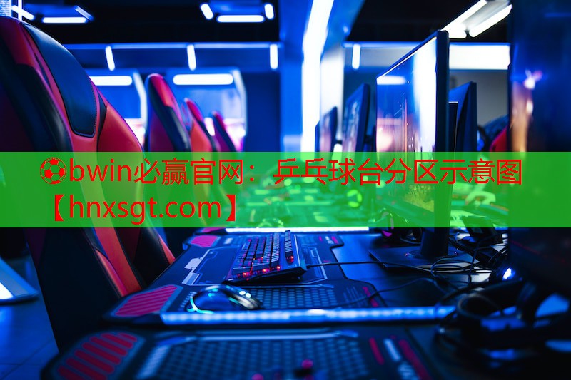 乒乓球台分区示意图