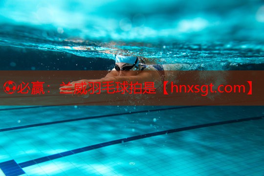 兰威羽毛球拍是
