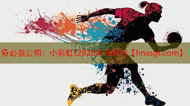 小彩虹t2828乒乓球台