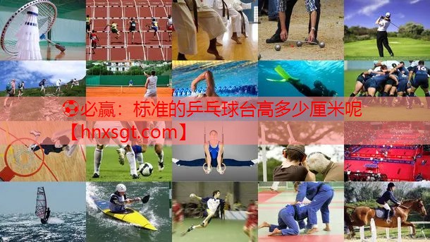 标准的乒乓球台高多少厘米呢