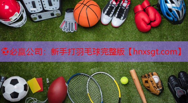 新手打羽毛球完整版